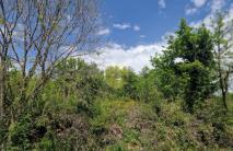 PAVLOVAC,  EKSKLUZIVNA PRODAJA ZEMLJIŠTA